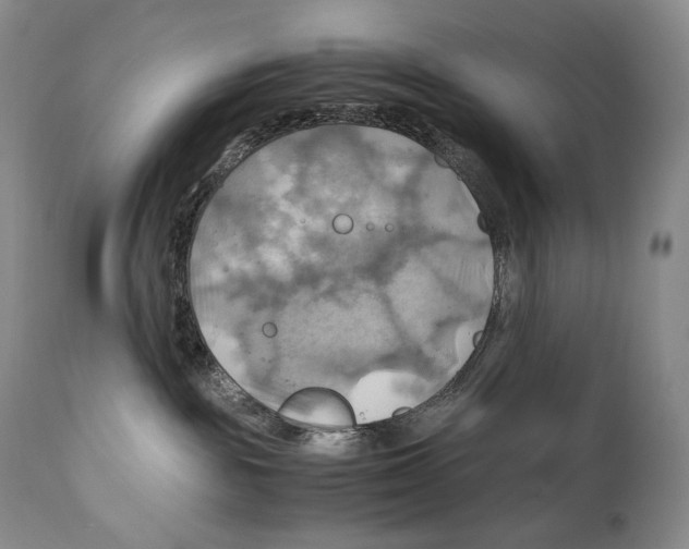 X0000111030189200907231629