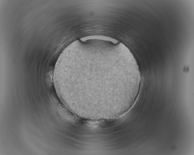 X0000111030190200907231629