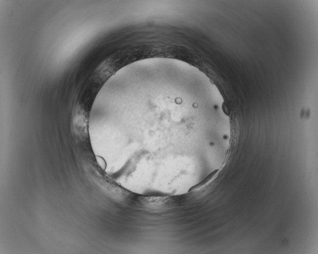 X0000111030191200907231629