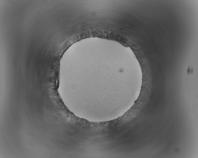 X0000111030192200907231629