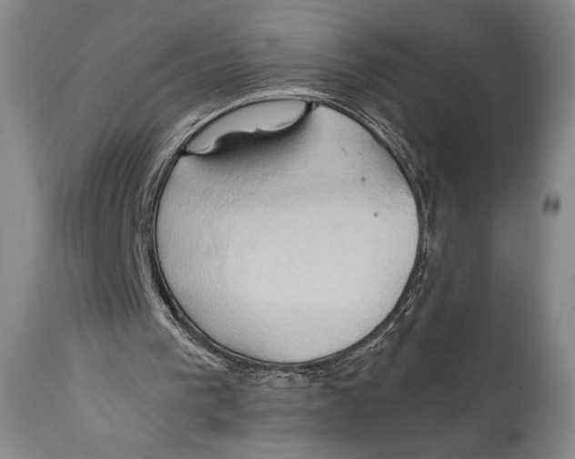 X0000111030193200907231629