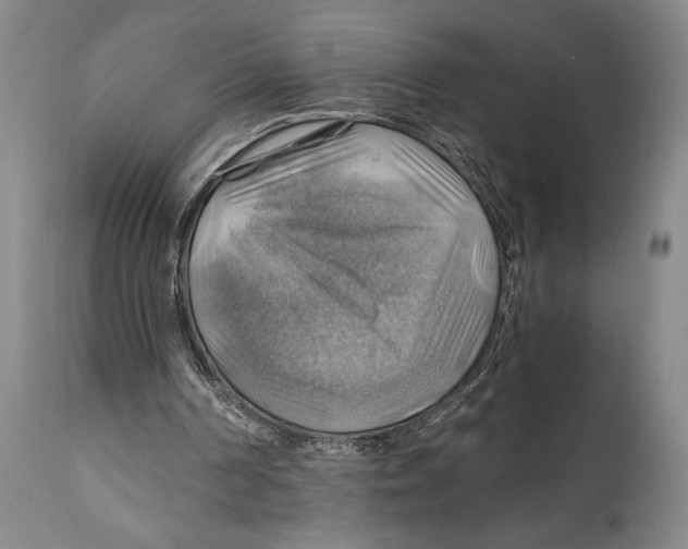 X0000111030194200907231629