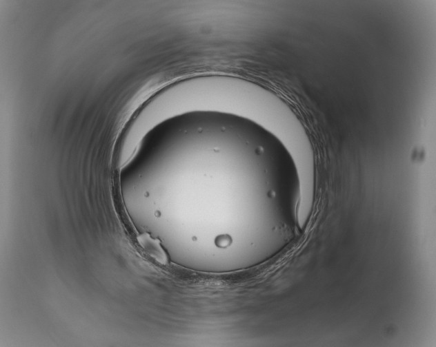 X0000111030195200907231629