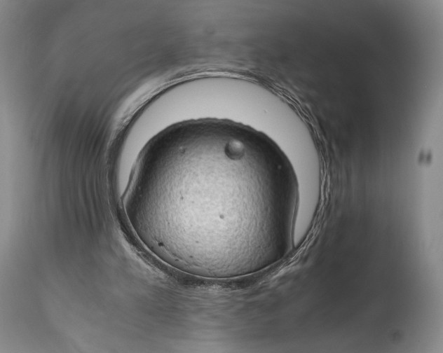 X0000111030197200907231629