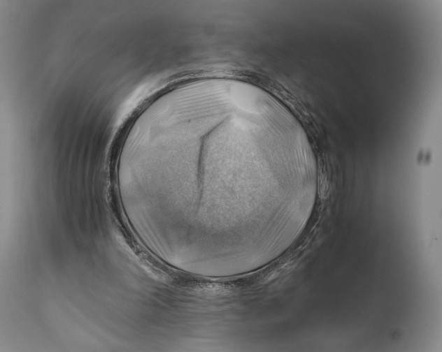 X0000111030198200907231629