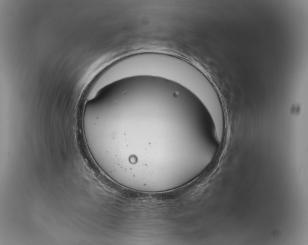 X0000111030199200907231629