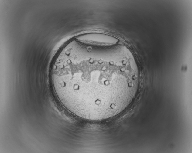 X0000111030200200907231629