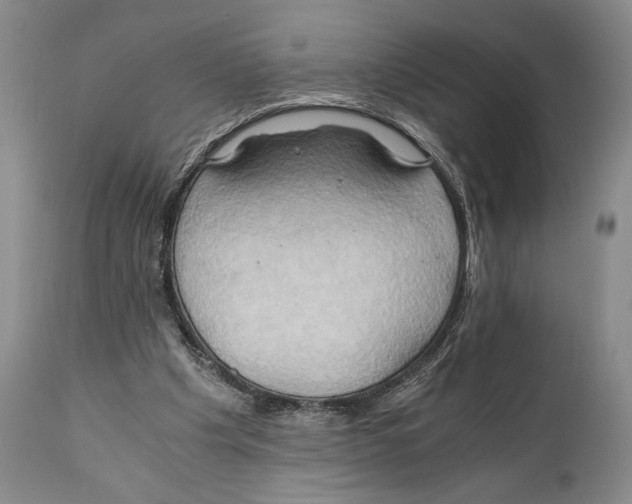 X0000111030201200907231629