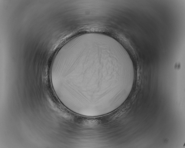 X0000111030202200907231629