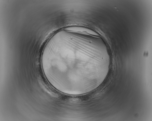 X0000111030203200907231629