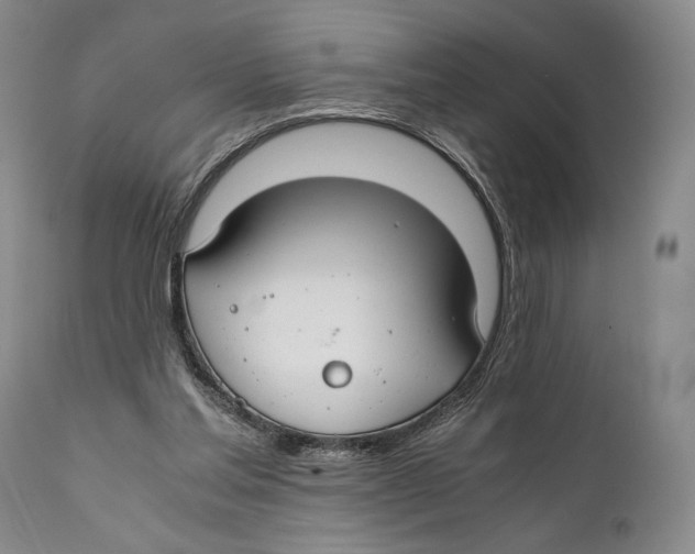 X0000111030205200907231629