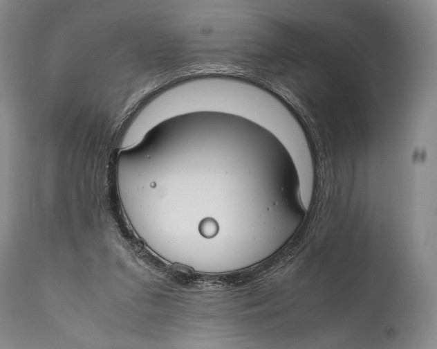 X0000111030207200907231629