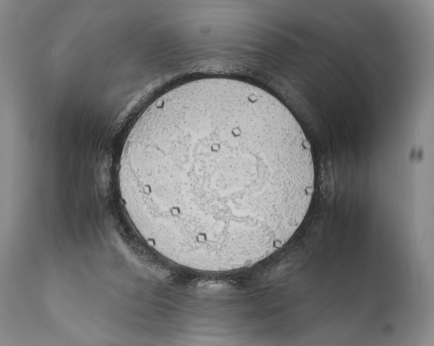 X0000111030208200907231629