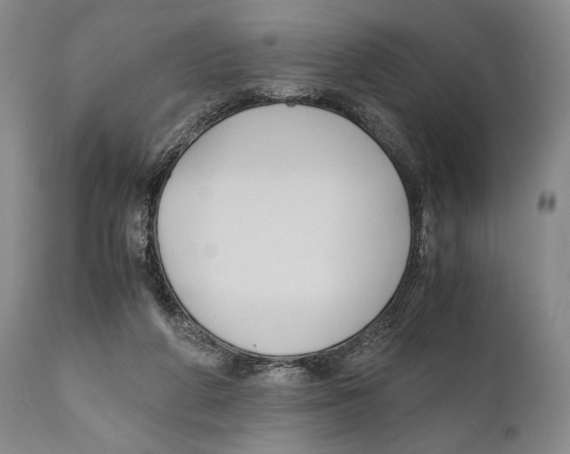 X0000111030210200907231629