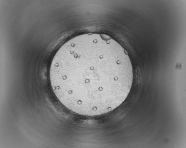 X0000111030212200907231629