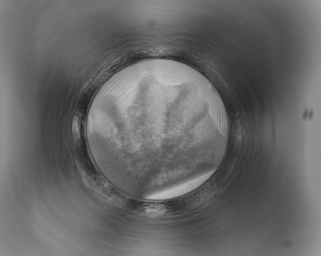 X0000111030214200907231629