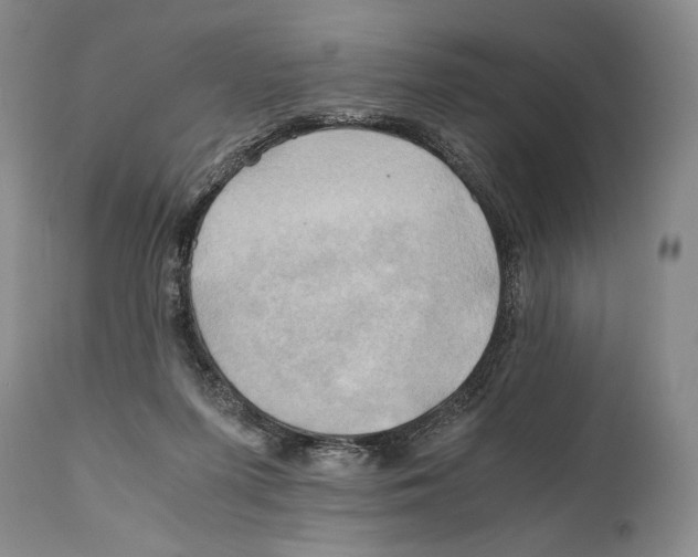 X0000111030215200907231628