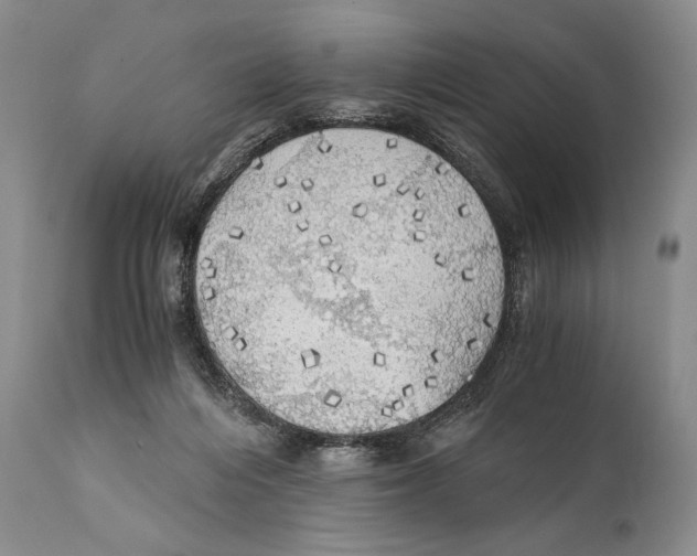 X0000111030216200907231628