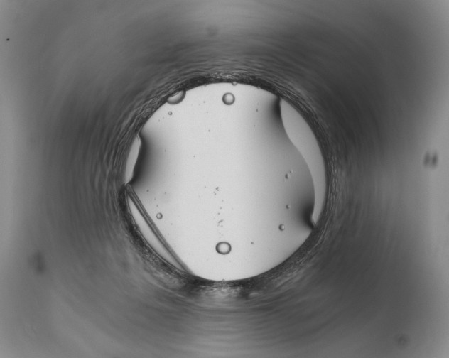 X0000111030217200907231628