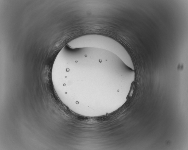 X0000111030219200907231628