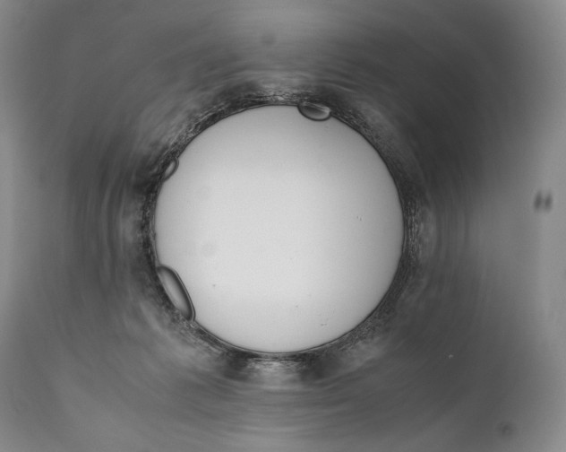 X0000111030221200907231628