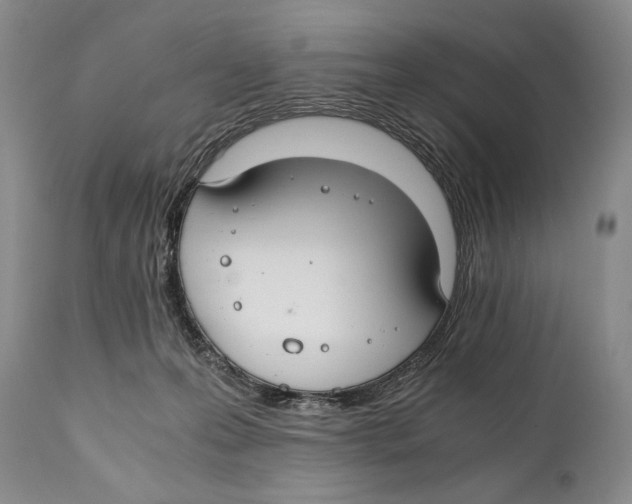 X0000111030223200907231628