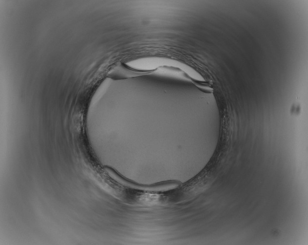 X0000111030227200907231628