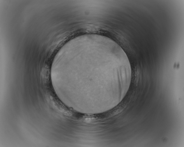 X0000111030228200907231628