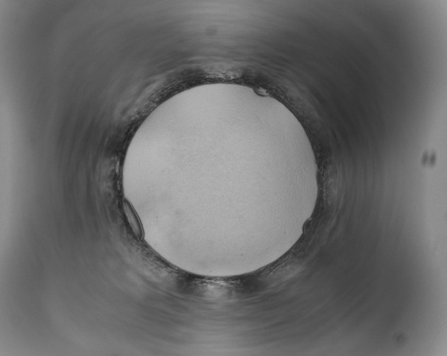 X0000111030229200907231628