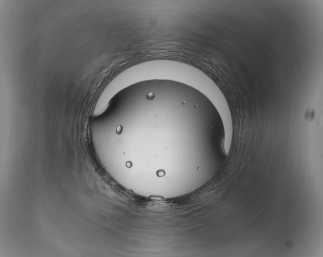 X0000111030231200907231628