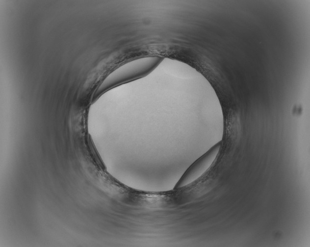 X0000111030233200907231628