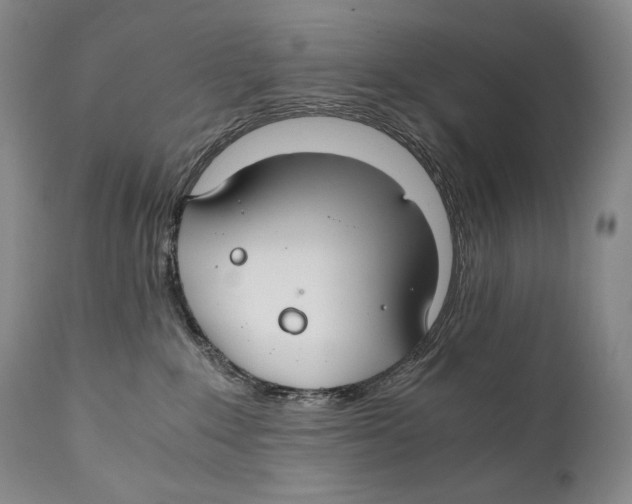 X0000111030235200907231628