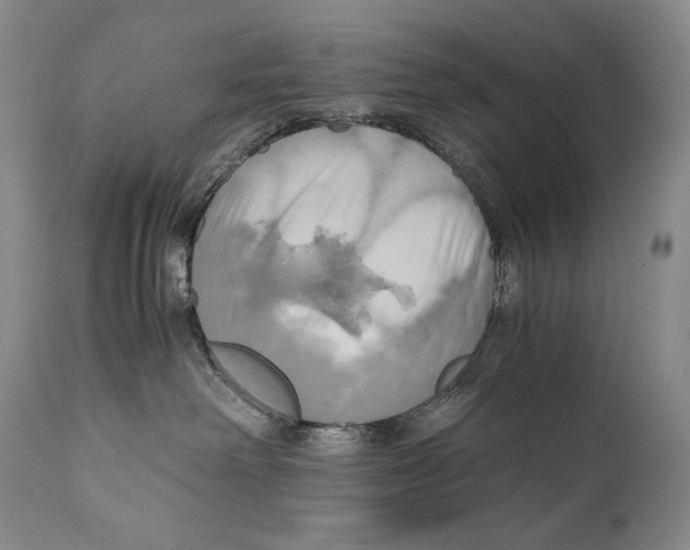 X0000111030238200907231628