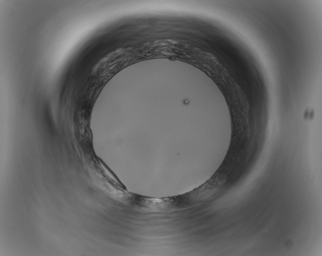 X0000111030239200907231628