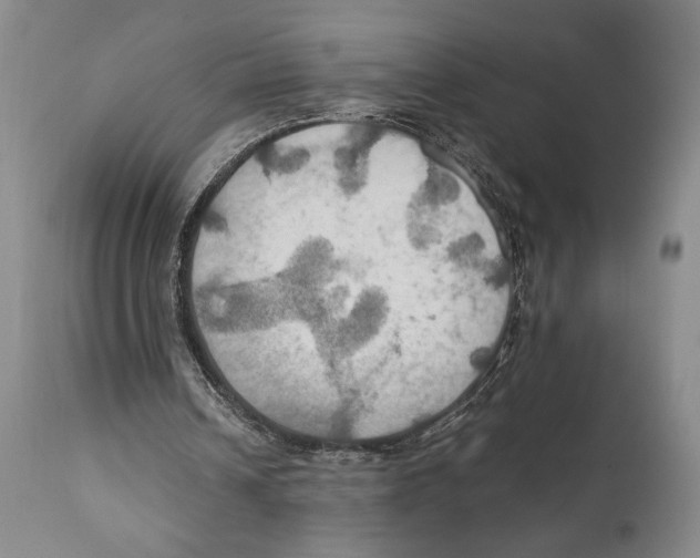 X0000111030242200907231627