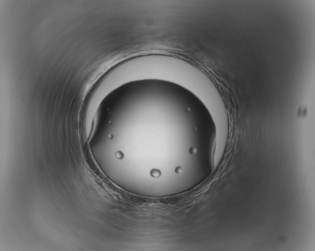 X0000111030244200907231627