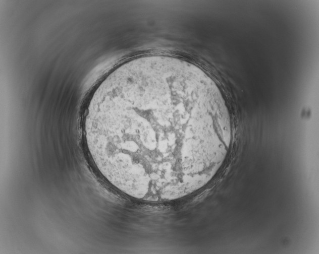 X0000111030245200907231627