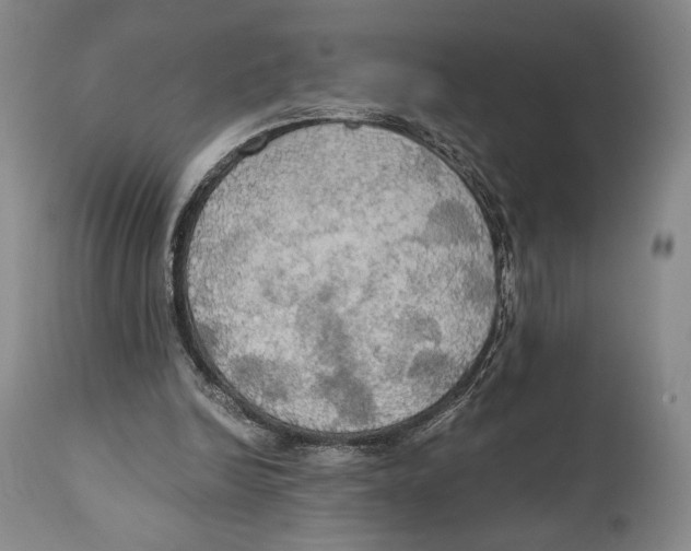 X0000111030246200907231627