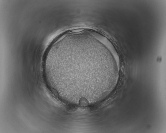 X0000111030248200907231627