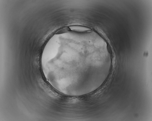 X0000111030249200907231627