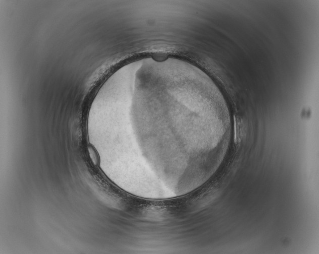 X0000111030252200907231627