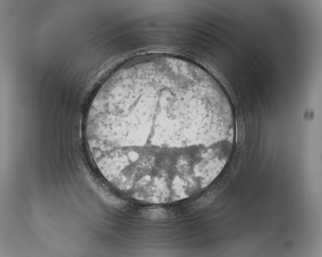 X0000111030253200907231627