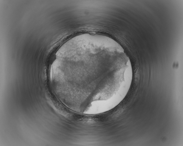 X0000111030254200907231627