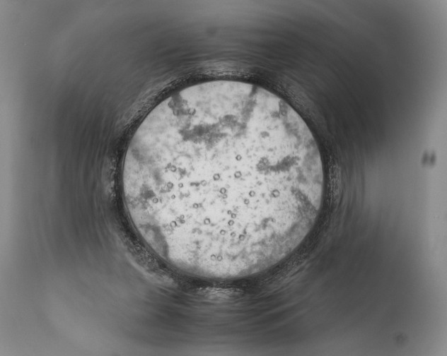 X0000111030255200907231628