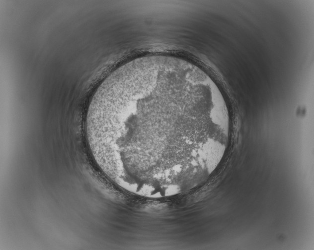 X0000111030257200907231628