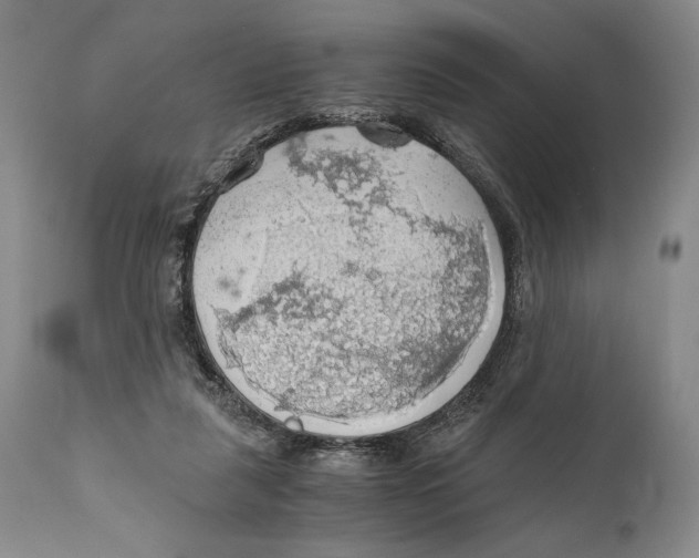 X0000111030259200907231628