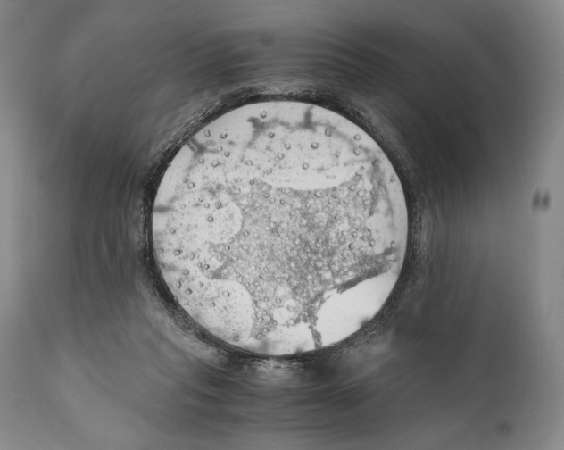 X0000111030261200907231628