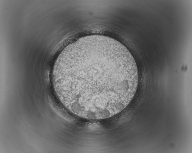 X0000111030262200907231628