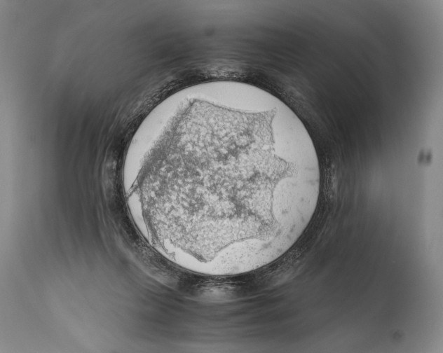 X0000111030263200907231628