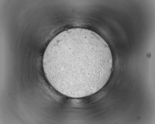 X0000111030265200907231628